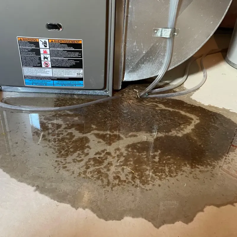 Appliance Leak Cleanup in Near South Side, IL