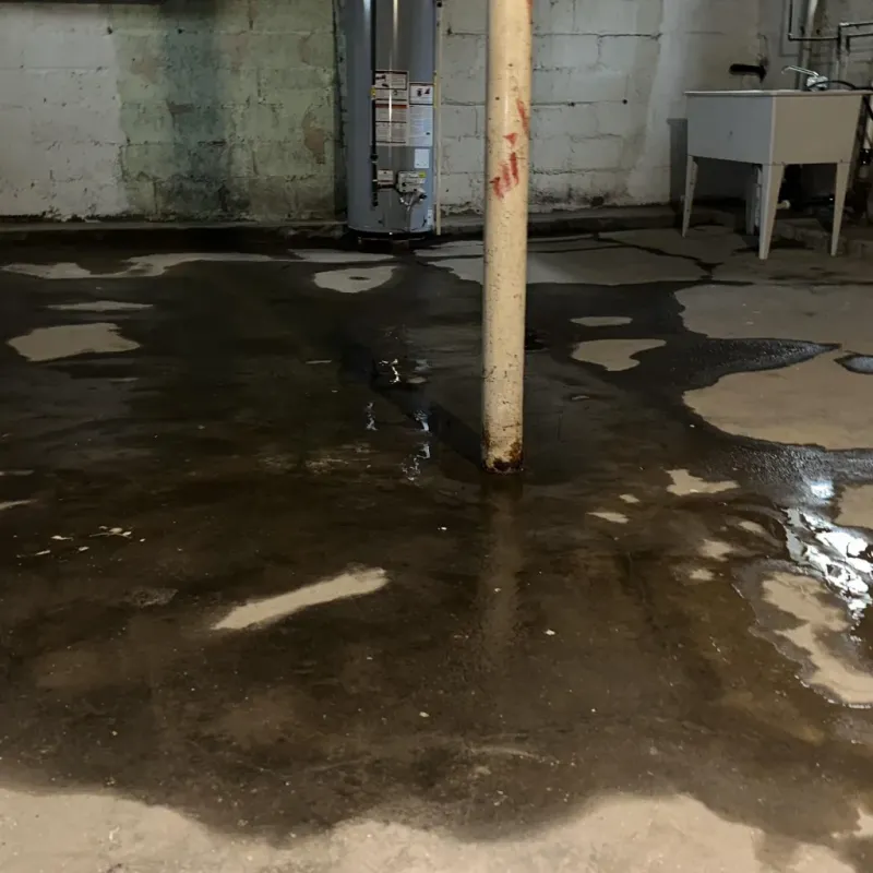 Emergency Water Extraction And Removal in Near South Side, IL